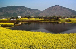 八百裏秦川盡是景 策馬渭南品味曆史的風霜